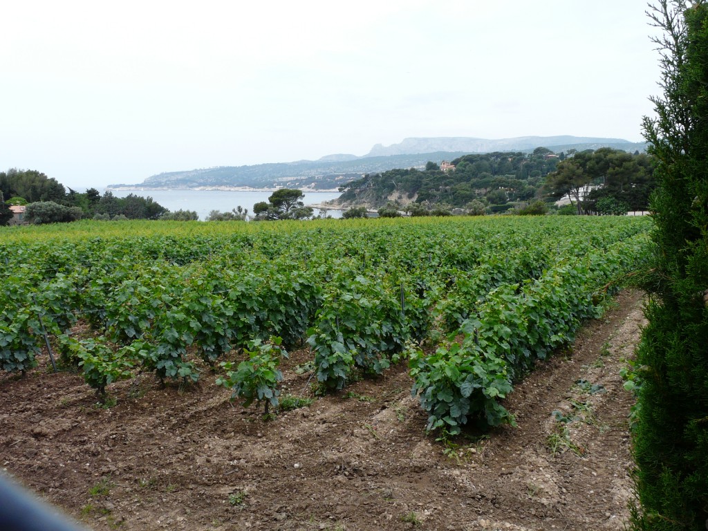 Cassis, 31-05-08, 11-18.jpg